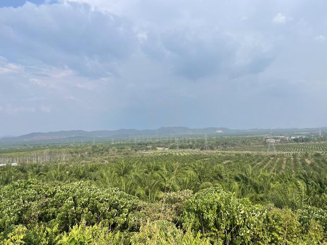 land for sale 1