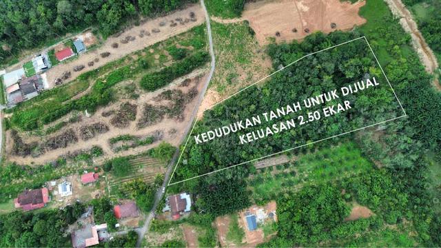 Tanah untuk dijual di Kg. Ramuan China Kechil sesuai untuk Rumah+Kebun 1