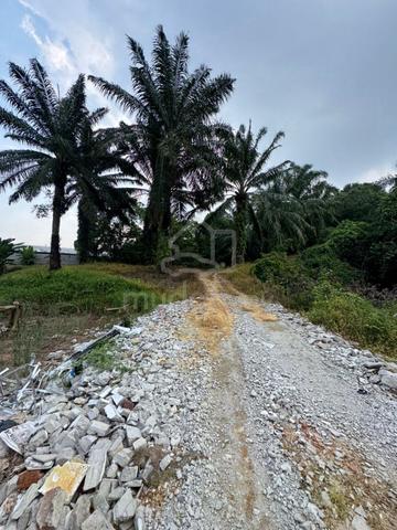 Ulu Choh Agricultural Land For Sale 1