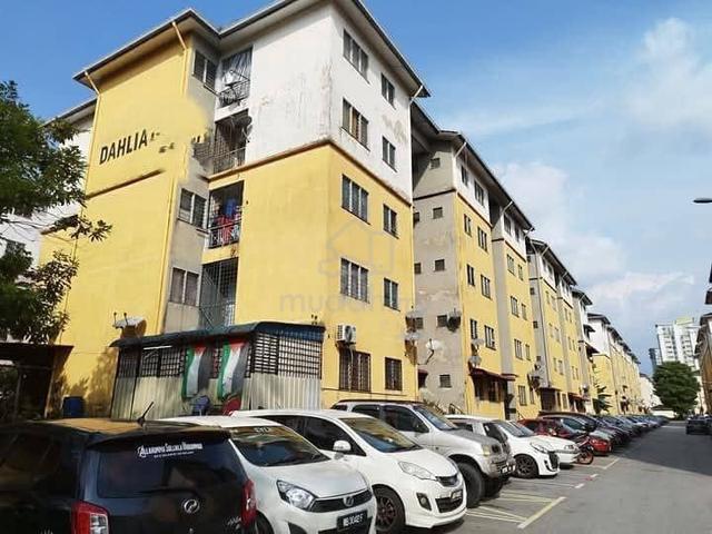 Dahlia (Seremban) 1