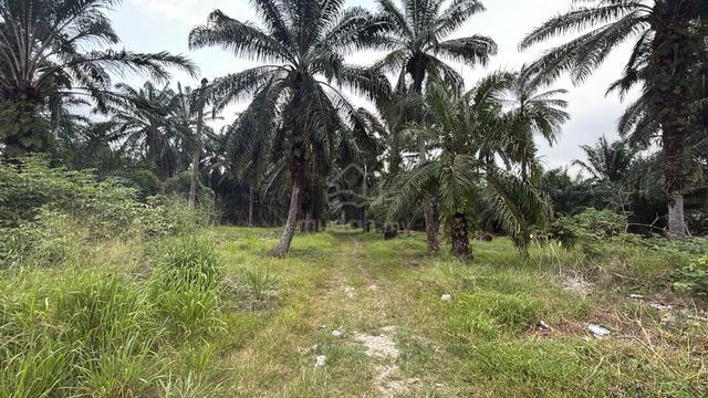 Industries Land Teluk Panglima Garang Facing Road For Sale 1