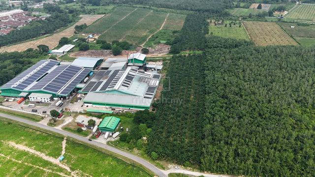Pokok Sena Agriculture Land Road Side 3 Lots Zoning Industry 1
