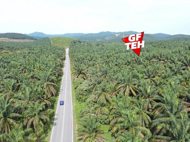 101.18 Acre Agricultural Land Sungai kob Karangan Labu Besar Kedah b 1