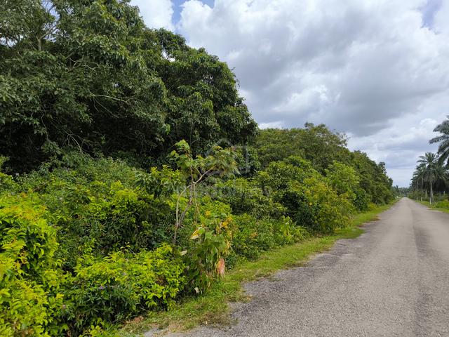 1.24 acres Agriculture land at Nusa Dusun, Kuala Linggi 1