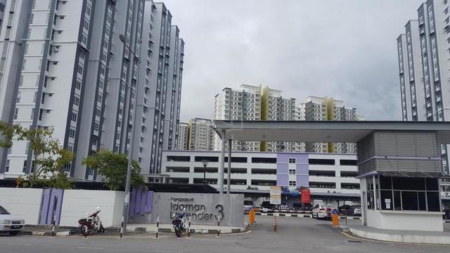 Idaman Lavender 3 1