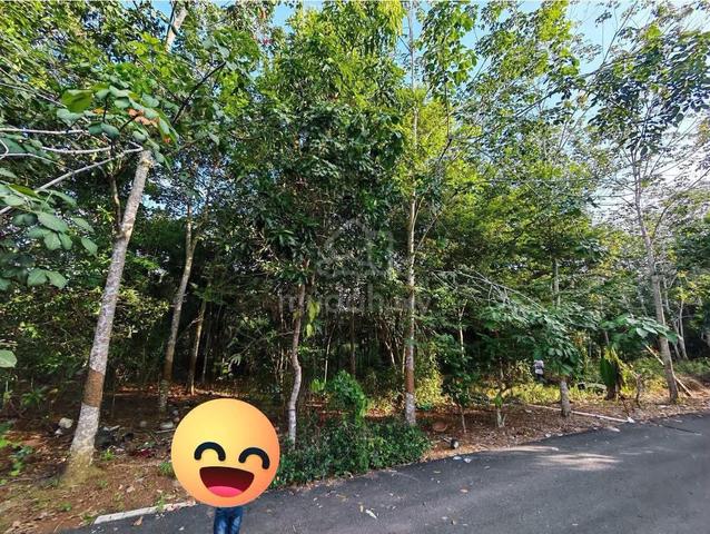 Tanah rapat jalan mini tar nak jual bahagian di bukit selambau 1