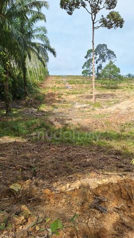Tanah dah siap clearing di Kerdau utk dijual - freehold,open title 5