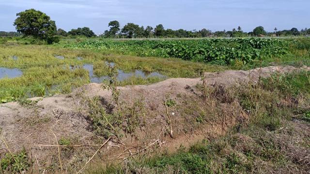 Tanah sawah 0.8878 ekar jual sebahagian area Seberang Gajah B.Rambai 5