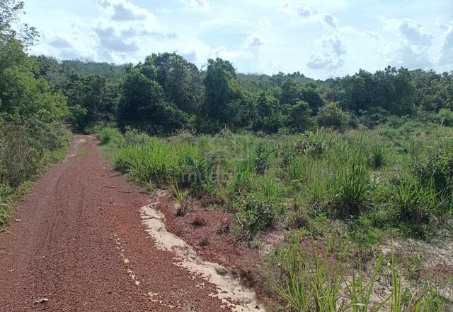 2 Ekar Tanah Kelapa Sawit Jalan Tunku Tiga Ke Felda Pemanis Segamat 1