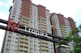 Koi Tropika 1