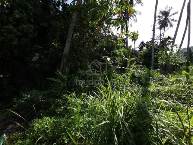 Land For Sale | Pulau Betong | Balik Pulau | River Access to Sea 1
