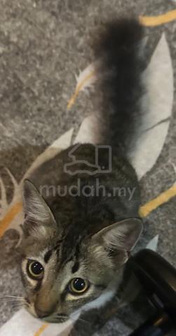 Carousel Image