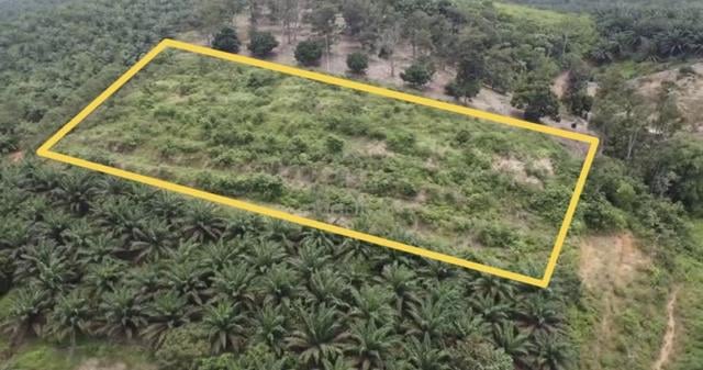 Mukim kulai kangkar pulai 1