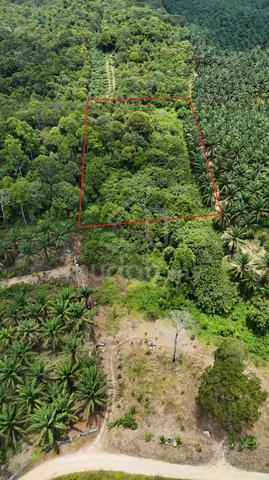 Agricultural Land Batu 18 Kota Tinggi For Sale 1