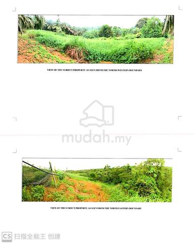 Tanah di Mukim Ulu Sungai Sedeli Besar 1