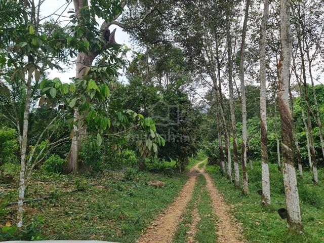 Agriculture Mukim Setul, Pajam Nilai, Negeri Sembilan 1