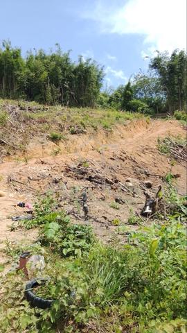 Tanah Pertanian 1.943 Ekar Untuk Dijual – Charok Katan, Sik, Kedah 1