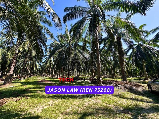 Agriculture Land🌿 RM4.30/sqft |Semeling Bedong |Under Market Value❗️ 2