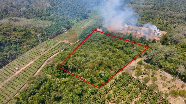 Tanah 4.2 Ekar FREEHOLD di Padang Rengas 1