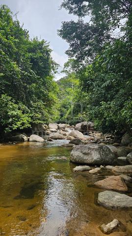 Tanah kebun sebelah sungai Ulu Kongso 1