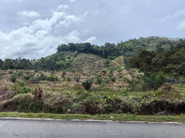 20 Acres Agricultural Palm Oil Mainroad Kenaboi Jelebu Kuala Klawang 1