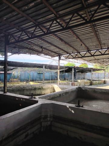 Kolam ikan untuk Disewa Rawang Bandar country homes  1