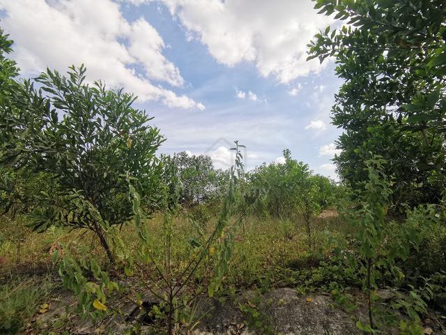 COMBINING 2 PIECES Industrial Land Sungai Lalang Industrial Park 1