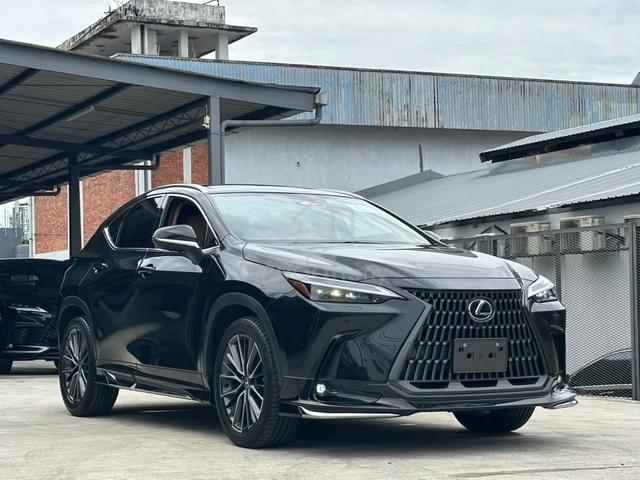 2023 Lexus NX 250 2.5 VERSION L (A) MARK LEVINSON - 1