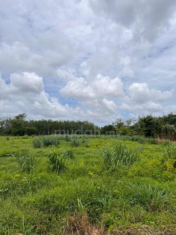 TANAH DI KAMPONG RAMBAI MUKIM PADANG SIDING untuk dijual 1