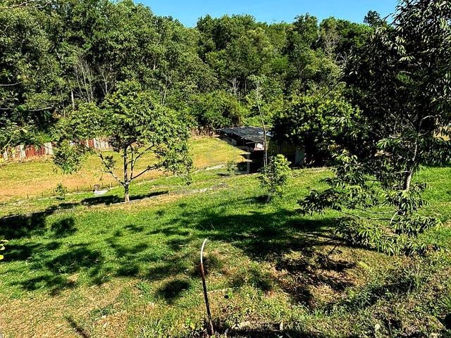 Senawang agricultur land for sale 1