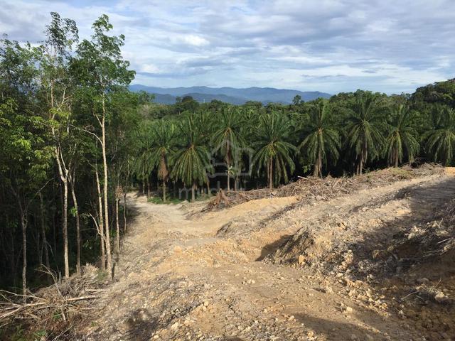 5.563 Acres Raub Land for Sale 1