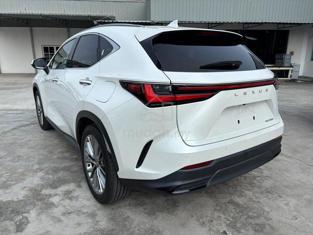 2023 Lexus NX250 2.5 VERSION L PANROOF, BROWN LS - 3