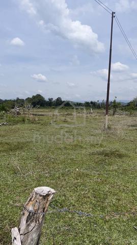 CL 99| Agricultural land| Membakut | for sale 1