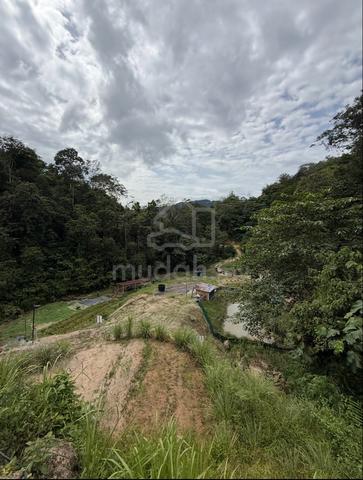 Tanah Kebun dalam Bandar untuk orang berduit Bercucuk tanam 1