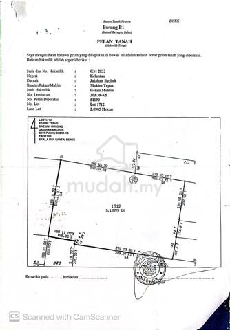 Tanah padi untuk dijual 1