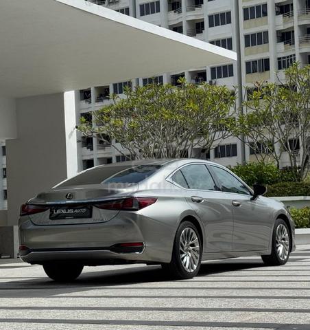 2022 Lexus ES250 LUXURY 2.5L (A) GENUINE 33K KM - 2