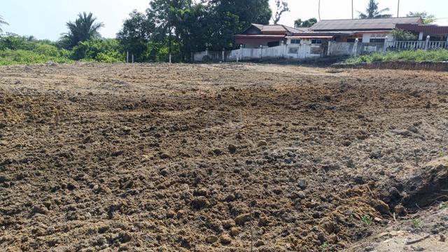 LOT baru status Pertanian area Pengkalan Balak 1