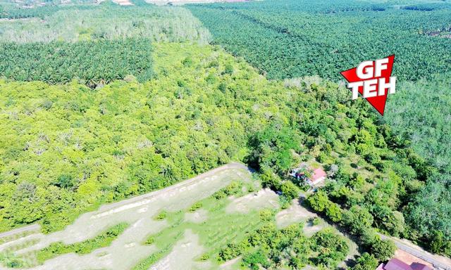15.64 acre Agricultural Land | Pendang | Ayer Puteh | Kedah 1