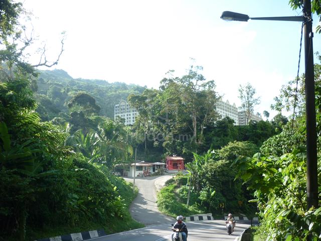 For Sale First Grade Freehold Main Road Land at Jalan Paya Terubong 1