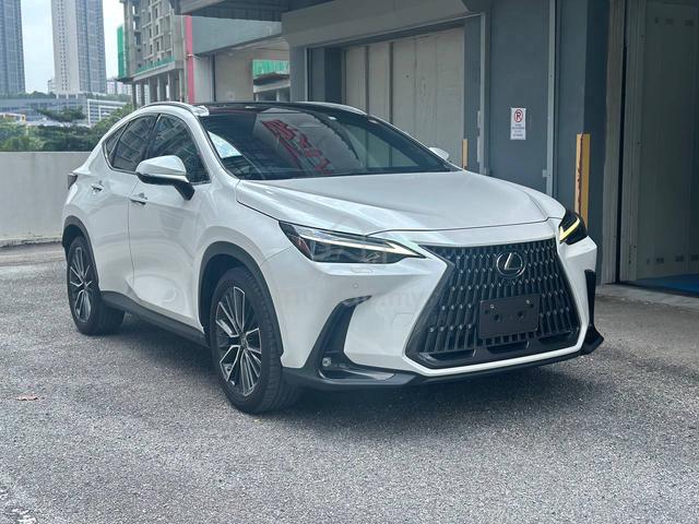 2023 Lexus NX250 2.5 LUXURY MY22 (A) - 1