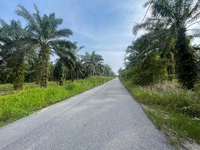 [For Sale][Hot Location] Tanah Mukim Lekir Seri Manjung 3.8 Ekar 5