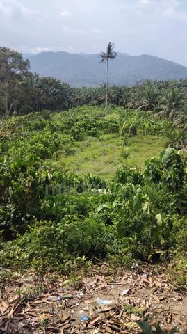 Tanah Dusun 1