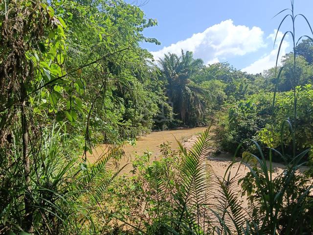 Tanah kepala sungai 1