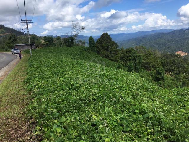 Resort Land at Kokol Hill Kota Kinabalu for Sale 5