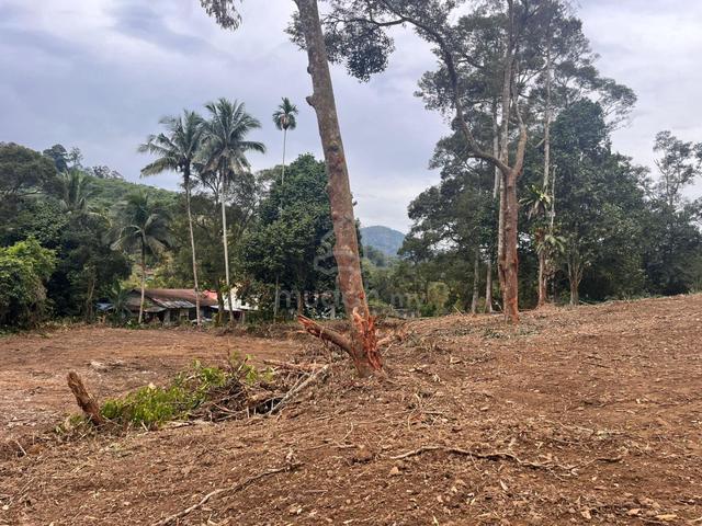 Hulu Langat @ Kampung Sungai Tekali Agricultural Land for Rent 1