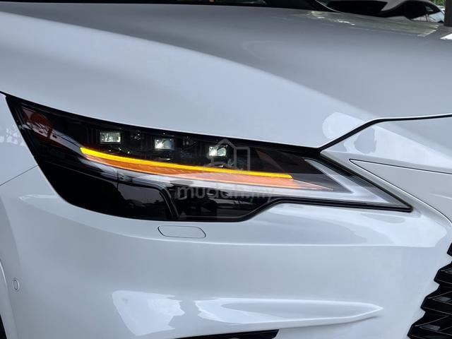 2023 Lexus RX350 2.4 F SPORT PROF 4CAM 5A 8K KM - 5