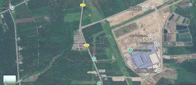 Belokok, Pontian @ Agricultural Land For Sale (Johor) 1