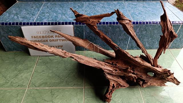 Driftwood for aquascape tank 2.5-3ft - photo 6 of 6