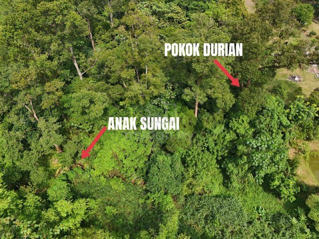 [FREEHOLD] Tanah Dusun 2.59 ekar Sungai Congkak Hulu Langat Batu 20 1