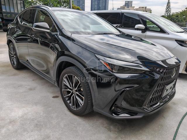2022 Lexus NX 250 Luxury 6 years warranty unreg - 1